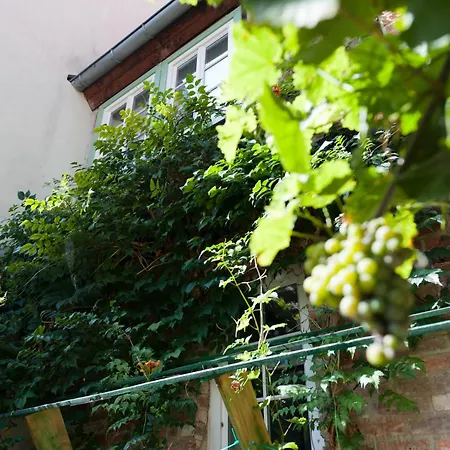 Apartman 