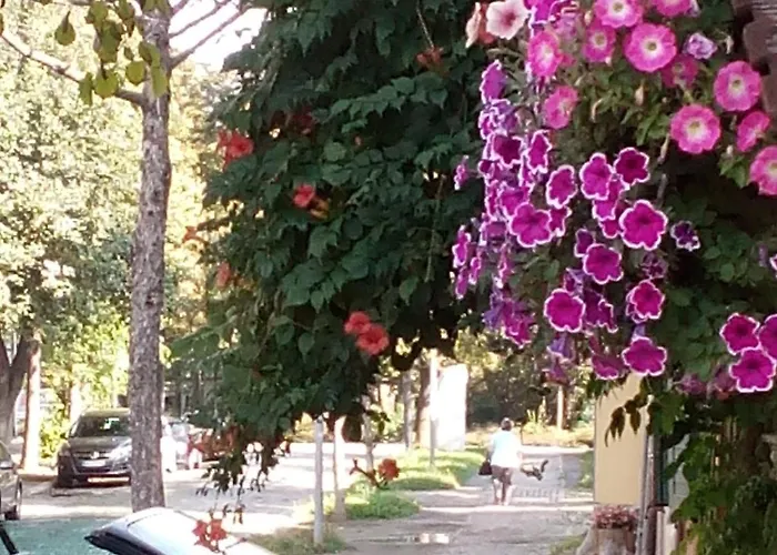 Апартаменты 